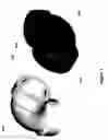 Fig. 02 - Adaptor fitting