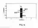 Fig. 07 - Method and apparatus for determining the direction of movement of RFID tags and for creating constant-width interrogation zones