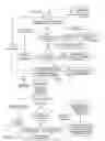 Fig. 07 - COORDINATED IDENTIFICATION OF PERSONS AND/OR ARTICLES VIA RADIO FREQUENCY IDENTIFICATION CROSS-IDENTIFICATION