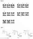 Fig. 07 - Plasma display apparatus and driving method thereof