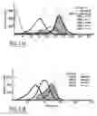 Fig. 10 - Automated medical image visualization using volume rendering with local histograms