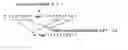 Fig. 01 - Reference picture loading cache for motion prediction