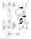 Fig. 07 - Stationary semantic zooming
