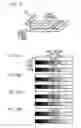 Fig. 22 - Image processing device, calibration table generator, image processing method, program product, and test pattern