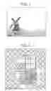 Fig. 02 - Method for statistical analysis of images for automatic white balance of color channel gains for image sensors