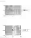 Fig. 07 - Optical element, condensing backlight system and liquid crystal display