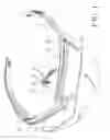 Fig. 02 - EYEGLASSES