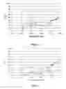 Fig. 06 - Polarized optical element having differentiated transmittance properties for use in eye-protecting devices