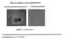 Fig. 06 - Method for Raman imaging of semiconductor materials