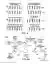 Fig. 04 - Systems and methods for distinguishing reflections of multiple laser beams for calibration for semiconductor structure processing