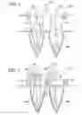 Fig. 04 - Excitation and emission filter
