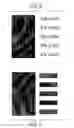 Fig. 06 - Method for prepress-time color match verification and correction