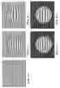 Fig. 06 - Three-dimensional hologram process with overt anti-counterfeit security using first object light, second object light, and reference light