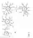 Fig. 07 - Composite electroactive material for electromechanical actuators