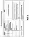 Fig. 04 - Verifying liveness with fast roaming