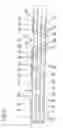 Fig. 03 - Unit of the transmission of data in a serial bidirectional bus