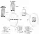 Fig. 01 - IP telephone