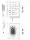 Fig. 31 - Cancellation of interference in a communication system with application to S-CDMA