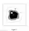Fig. 06 - Segmentation of digital images