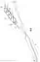 Fig. 09 - Distribution cable assembly having overmolded mid-span access location