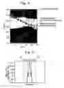 Fig. 04 - Two-dimensional photonic crystal having air-bridge structure and method for manufacturing such a crystal