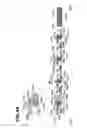 Fig. 41 - Image forming apparatus and developing cartridge
