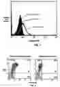 Fig. 02 - Imaging and therapeutic method using monocytes