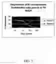Fig. 06 - Biodegradable nanoparticles