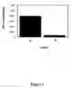 Fig. 02 - Nucleic acid delivery