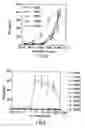 Fig. 08 - Genetically modified tumor-targeted bacteria with reduced virulence
