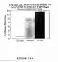 Fig. 15 - Agents that dissolve arterial thrombi