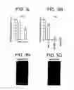 Fig. 08 - Methods and compositions for inhibiting tumorigenesis
