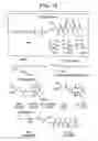 Fig. 32 - Methods and compositions for inhibiting tumorigenesis
