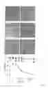 Fig. 03 - Mycoplasma subunit vaccine