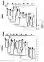 Fig. 02 - HIV-1 protein associated with broadly reactive neutralizing antibody response