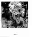 Fig. 02 - Process