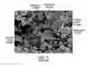 Fig. 02 - Manufacturing process, such as three dimensional printing, including binding of water-soluble material followed by softening and flowing and forming films of organic-solvent-soluble material