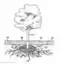 Fig. 01 - Method of making a multi-layered structure for tree well skirt and sidewalks