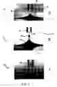 Fig. 02 - Microencapsulation of particles in a polymer solution by selective withdrawal through a high viscosity low density fluid and subsequent crosslinking