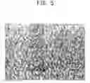 Fig. 06 - Nanocomposite solution with complex-function and method for preparation thereof