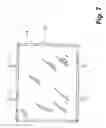 Fig. 06 - DECORATIVE EXTERIOR WALL PANEL