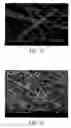 Fig. 08 - Nanofiber and method for fabricating the same