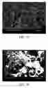Fig. 09 - Nanofiber and method for fabricating the same