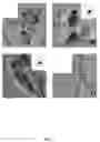 Fig. 03 - Synthetic Nanoparticle Soil Materials