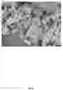 Fig. 10 - Synthetic Nanoparticle Soil Materials