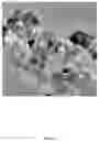 Fig. 22 - Synthetic Nanoparticle Soil Materials