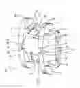 Fig. 01 - Self-locking orthodontic bracket
