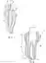 Fig. 07 - Methods for apical preparation using endodontic instruments made of super-elastic alloys