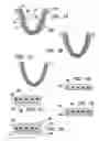 Fig. 02 - Device having activated textured surfaces for treating oral tissue