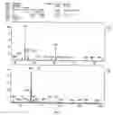 Fig. 06 - Nucleoside derivative, modified oligonucleotide, method for their synthesis and applications thereof